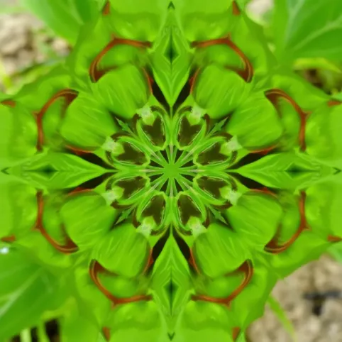 Koszty transportu drogowego